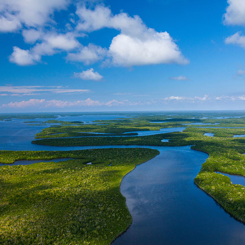 Dental Care in Parkland
